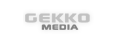 GEKKOmedia Bernd K&uuml;sters - professionelles Webdesign zu fairen Preisen